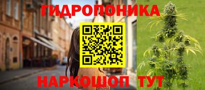 спайс Коммунар