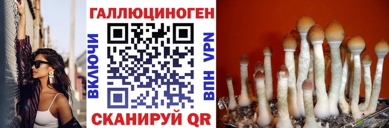 Псилоцибиновые грибы прущие грибы Карпинск