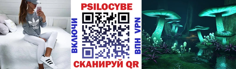 ОМГ ОМГ tor  Карпинск  Псилоцибиновые грибы мицелий 