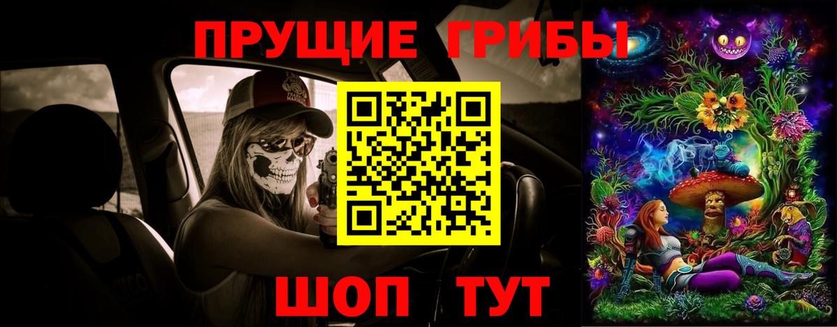 Псилоцибиновые грибы Psilocybine cubensis Карпинск