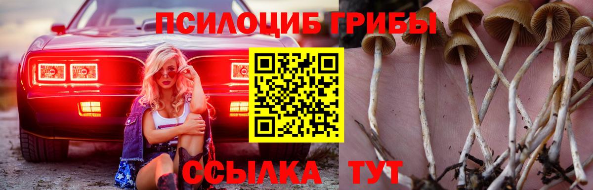Карпинск  Псилоцибиновые грибы Psilocybine cubensis  цена наркотик  Вход с VPN  Галлюциногенные грибы ЛСД 